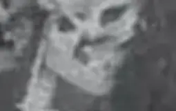 battle of the idiots